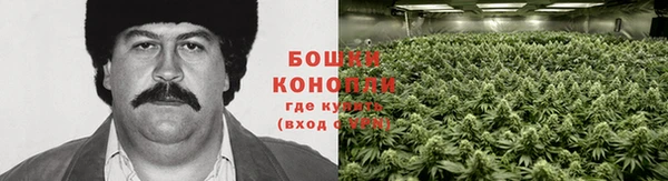 ешки Богданович