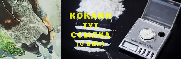 шишки Беломорск