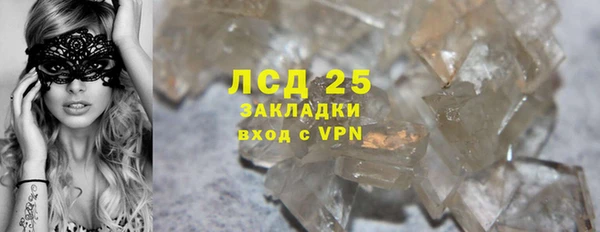 шишки Беломорск