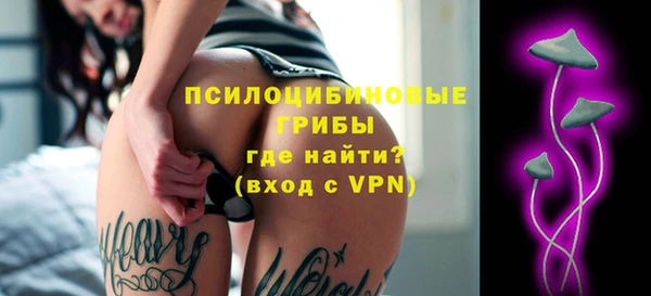 гидра Белоозёрский