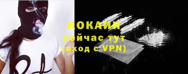 тгк Богородицк