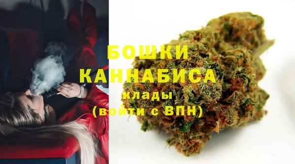 гидра Белоозёрский
