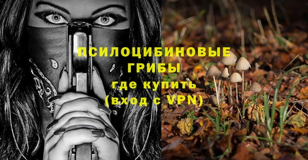 ешки Богданович