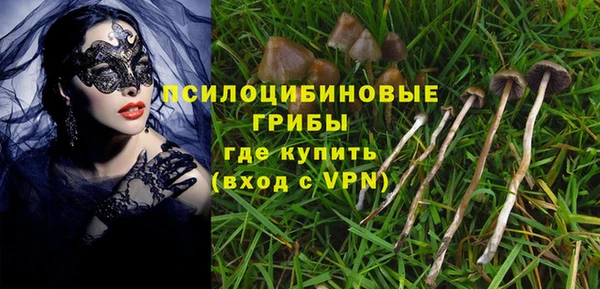 ешки Богданович