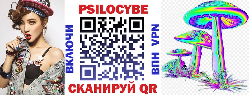 купить закладку  Верещагино  Псилоцибиновые грибы MAGIC MUSHROOMS 